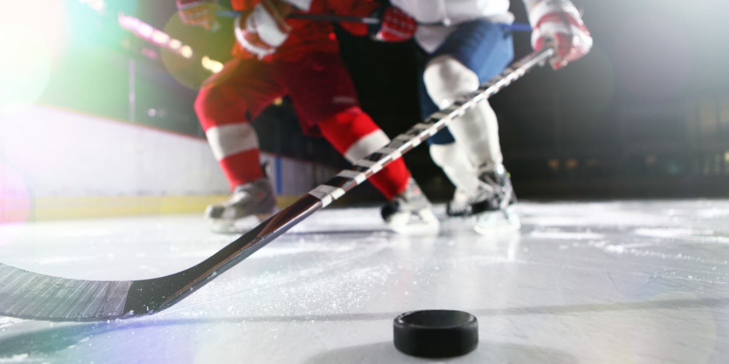 NHL Team Guide: Toronto Maple Leafs