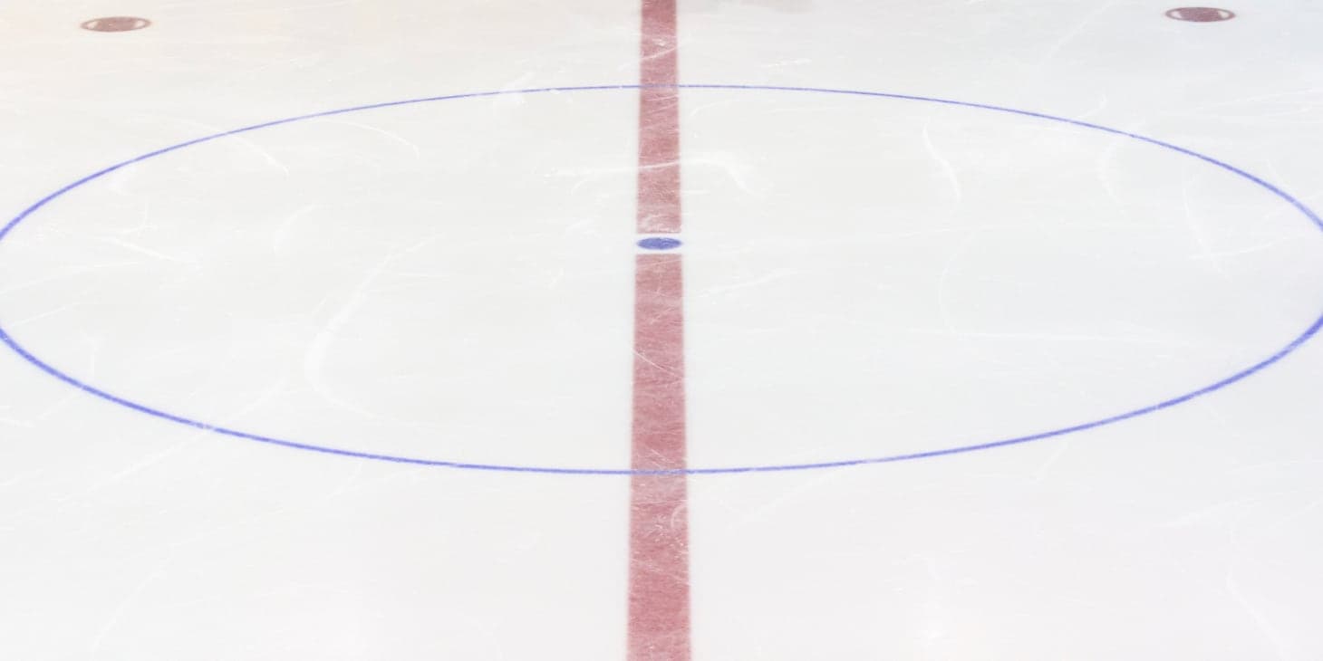 NHL Team Guide: Minnesota Wild